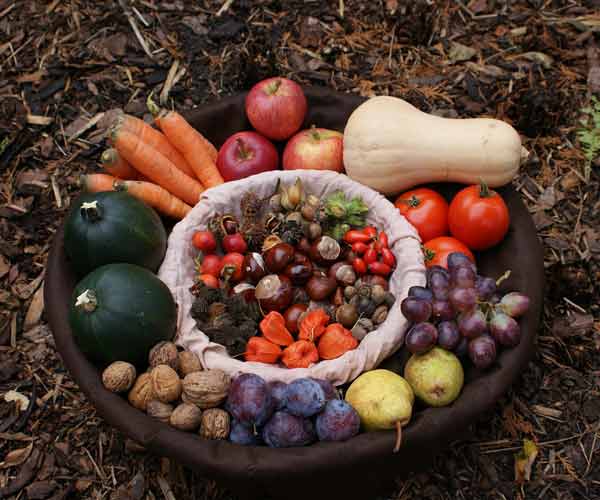 fruit vegetable bowl ground